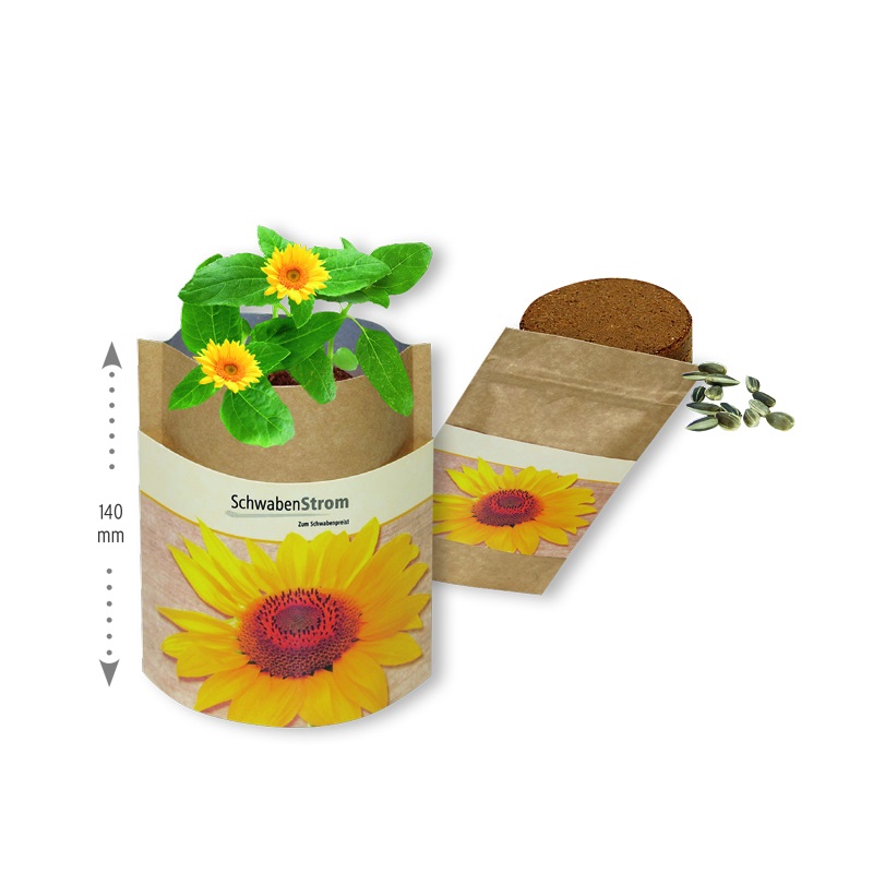 Kleine Tasche mit Sonnenblumen Samen